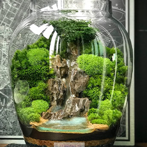Miniature Terrarium